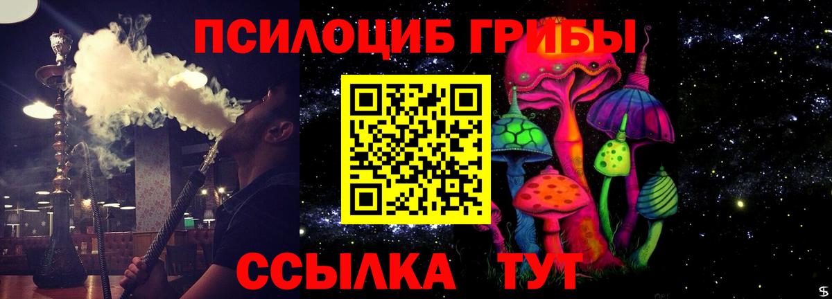 Йошкар-Ола  Галлюциногенные грибы GOLDEN TEACHER  Вход с VPN 